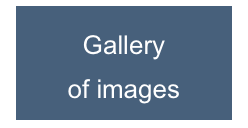 Gallery  of images