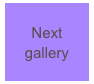 Next gallery